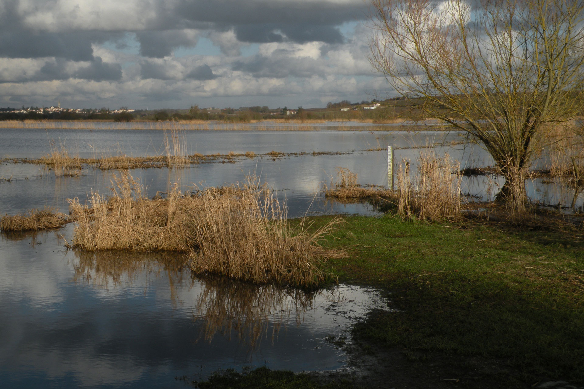 Basse-Goulaine Autrement - Le marais Haute-Goulaine